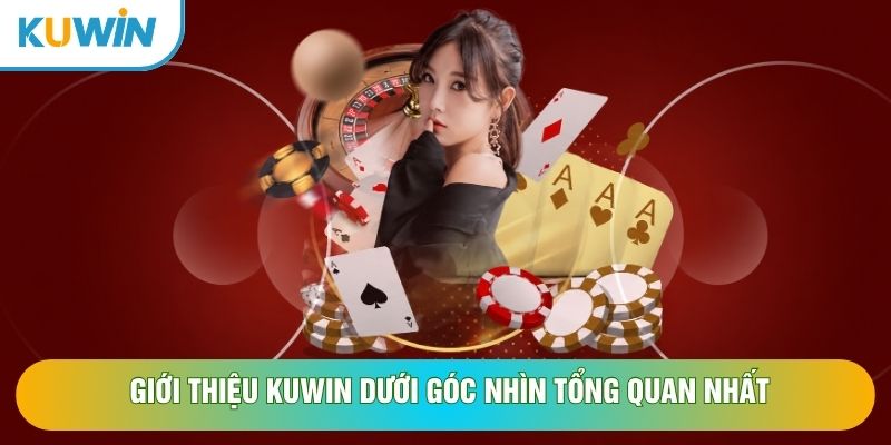 gioi_thieu_tong_quat_Kuwin
